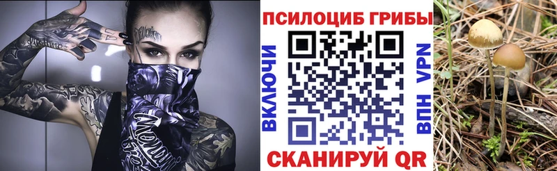 ОМГ ОМГ как зайти  дарк нет формула  Галлюциногенные грибы мухоморы  Правдинск 